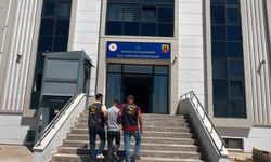 Şanlıurfa'da hırsızlıktan aranan hükümlü yakalandı