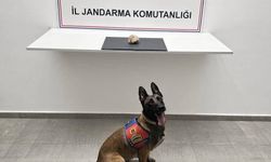 Şanlıurfa'da uyuşturucu operasyonu: 1 tutuklama