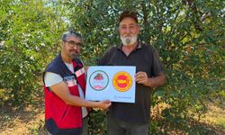 Şaphane Vişnesi için tescil çalışmaları sürüyor