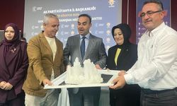 Şaphane'nin atıl şap madeni için yeniden üretim talebi