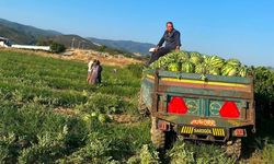 Sarıgöllü üreticiden 'Kendi üret, kendi sat' hamlesi
