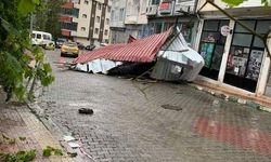 Şavşat'ta fırtınada uçan çatı aracın üzerine düştü