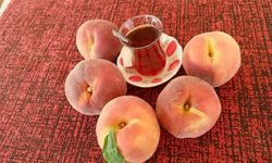 Şeftali fiyatları 1 günde yarıya düştü
