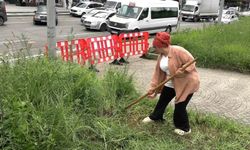 Şehir merkezinde tırpanla geçim mücadelesi