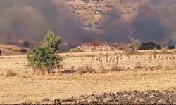 Seyitgazi'de tarım arazisinde yangın çıktı