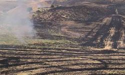 Siirt'te anız yangını meyve bahçesine sıçradı, 100 ağaç zarar gördü