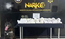 Şırnak'ta 6,5 milyon liralık kaçak malzeme ele geçirildi 1 şüpheli tutuklandı