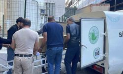 Sivas'ta kene bir can daha aldı, ölenlerin sayısı 13'e yükseldi