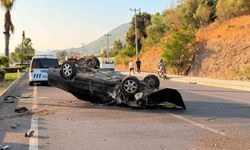 Takla atan otomobil palmiye ağacına çarptı: 1 yaralı