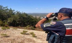 Tarihi Alan'da jandarma ekiplerince denetim