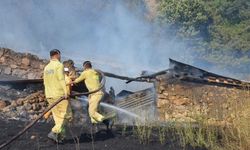 Taşova'da ağıl, samanlık ve 2 bağevi yandı