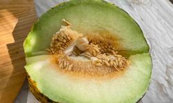 Tavas'ın en 'iyi yanık kokulu koyun yoğurdu' ve 'kavunu' belirlendi