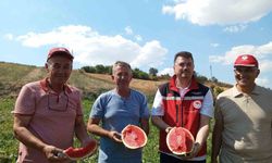Tekirdağ karpuzu tezgâhlara çıkıyor