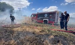 Tekirdağ'da anız yangını 100 dekarlık alana zarar verdi