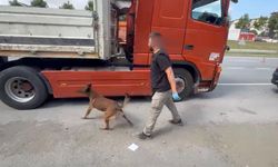 Tırın gizli bölmesinde 7 kilo metamfetamin ele geçirildi