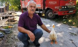 Torunların hevesi geçti, dedenin en yakın dostu oldu