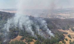 Tunceli'de orman yangını: Havadan ve karadan müdahaleye başlandı
