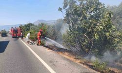 Ula'da yol kenarında başlayan alevler korkuttu