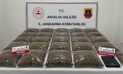 Uyuşturucu operasyonunda 13 şüpheli yakalandı