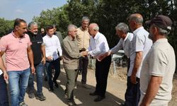 Vali Çelik: 'Hesarek'i bölgenin önemli turizm merkezlerinden biri haline getirmek istiyoruz'