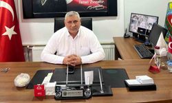 Vezirköprü'de ayçiçeği hasadı başladı