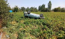 Virajı alamayan otomobil devrildi: 1 yaralı