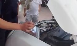 Yalova'da otomobile sıkışan minik kedinin yardımına itfaiye ekipleri yetişti