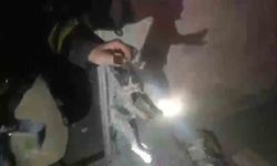 Yangında mahsur kalan kediler ekipler tarafından kurtarıldı