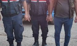 Yaralı dağ keçisini jandarma kurtardı