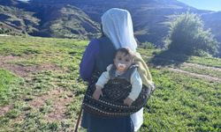 Yaylalarda başlayan emek, Erzincan tulum peyniri olarak sofralara ulaşıyor