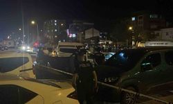 Yol kenarındaki otomobilde bir kadın ölü, bir kişi ağır yaralı halde bulundu