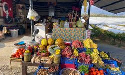 Yol üzerinde dalından sofraya