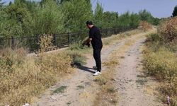 Yoldaki kaplumbağayı duyarlı vatandaş kurtardı