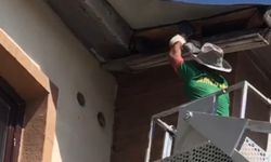 Yüksekova'da nefes kesen kurtarma: Çatıda mahsur kalan güvercin için zamanla yarışıldı