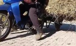 Yüksekovalı vatandaşın pratik zekası: Motosikletin arkasına el arabası bağlayarak üzerinde ot taşıdı
