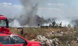 Zeytinlik alanda çıkan yangın korkuttu