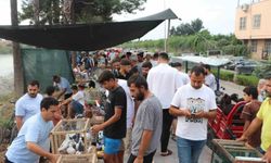 Adana'da kuş meraklıları kuş pazarında buluşuyor