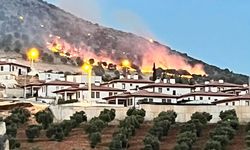 Adıyaman'da ormanlık alanda korkutan yangın