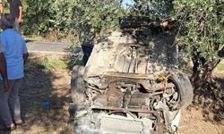 Altınözü'nde otomobil zeytinliğe uçtu: 1 yaralı