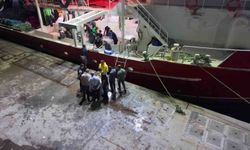 Av yasağının bitmesiyle İstanbul'da sezonun ilk balıkları bu gece avlandı