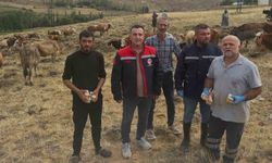 Aydıntepe'de hayvan yetiştiricilerine yonca zehirlenmesi uyarısı