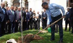Bakanı Çiftçi, adını taşıyan çınar fidanını dikerek can suyu verdi