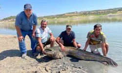 Baraj gölündeki iki dev yayın balığı oltaya takıldı