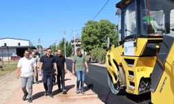 Başkan Özlü saha çalışmalarını inceledi