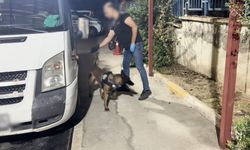 Batman'da araçta 7,4 kilo skunk ele geçirildi, 2 kişi tutuklandı