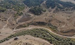 Bayburt'ta 3 projeyle 145 bin fidan toprakla buluşacak