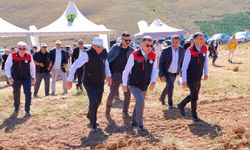 Bayburt'ta tıbbi ve aromatik bitki üretimi için 320 milyon liralık yatırım