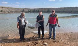 Beyşehir ve Hüyük'ün göletlerine balık bırakıldı