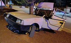 Beyşehir'de TOFAŞ otomobil ağaca çarptı: 1'i ağır 2 yaralı
