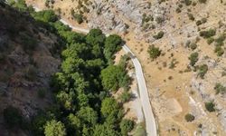 Beytüşşebap'ta 5 kilometrelik beton yolun 1 kilometresi tamamlandı